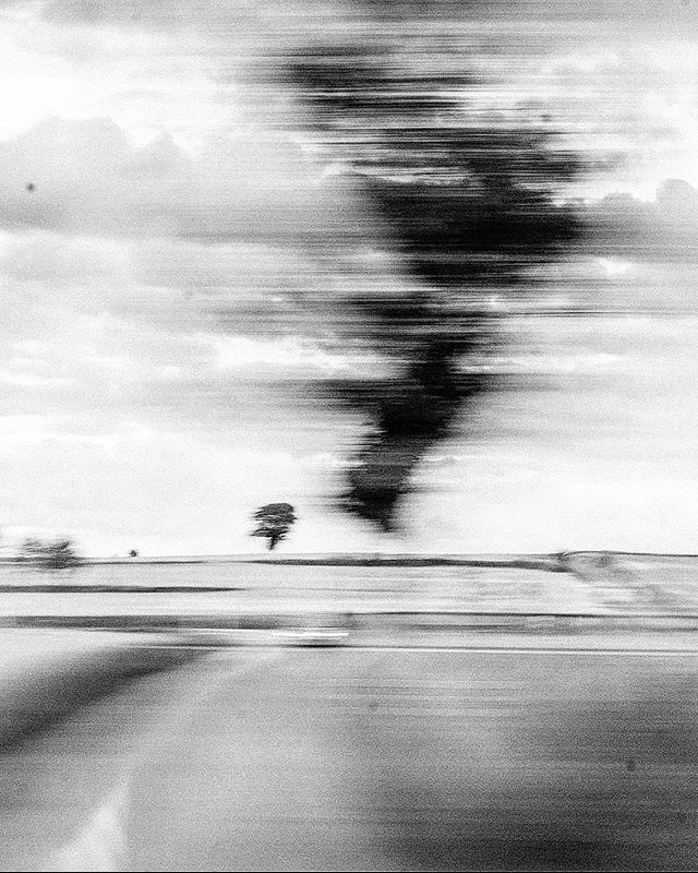 An abstract monochrome landscape featuring a blurred countryside and tree beneath a cloudy sky.