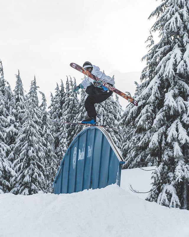 A skier performs a jump on a snowy mountain, surrounded by snow-covered trees in winter.