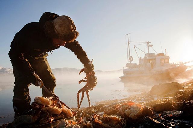 A fisherman harvests crab on the coast with a boat in the background on a misty morning.