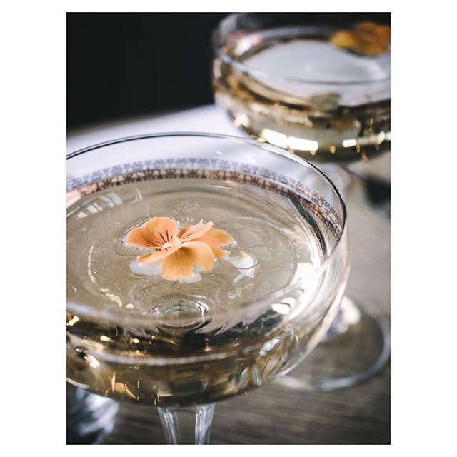 Two cocktails in coupe glasses, garnished with edible flowers, sit on a table in soft light.