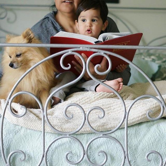 A child reads a book with their parent and dog in a cozy bedroom setting.