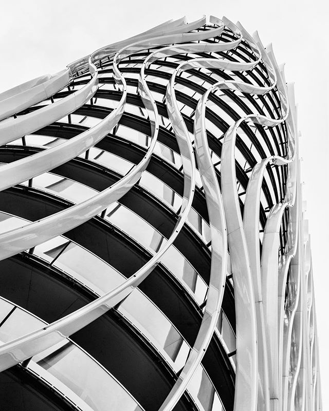 Abstract architectural detail of a modern building facade with curved lines in black and white.