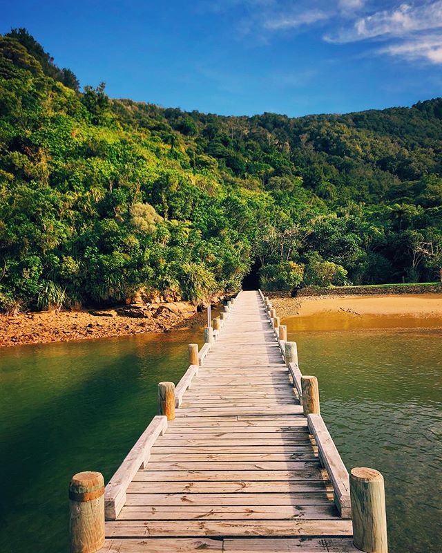 A wooden pier stretches over calm water towards a lush, green beach, under a bright blue sky, creating a tranquil scene.