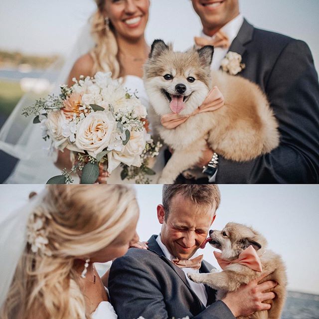 A happy couple and their dog celebrate their wedding day with love and joy.