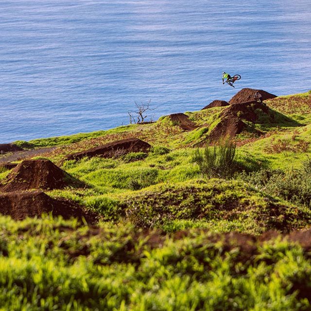 A mountain biker catches air over dirt jumps on a grassy hillside overlooking the ocean.