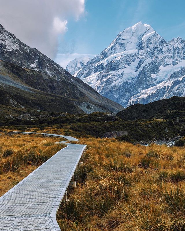 A scenic view of a boardwalk leading towards snow-capped mountains in New Zealand, perfect for travel and adventure themes.