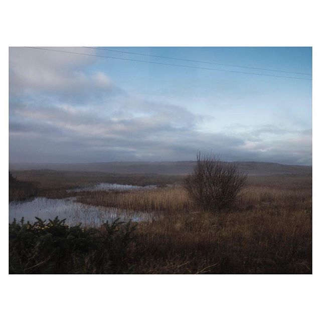 A tranquil marsh landscape with still water, grasses, and a cloudy sky, ideal for nature and travel themes.