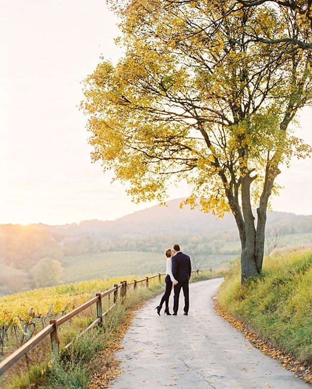 A couple stands on a path by a vineyard in the countryside, with a tree providing shade during a romantic moment.