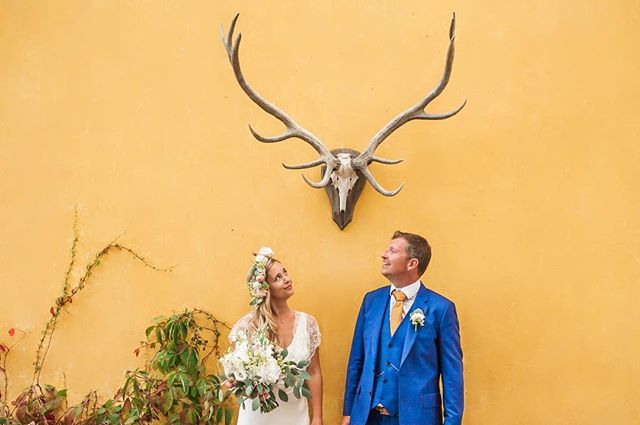 A happy wedding couple gazes upward standing in front of a yellow wall with deer antlers. 