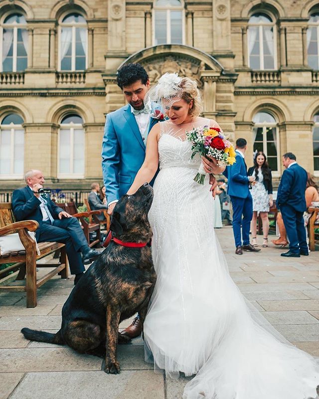 A bride and groom pose with their dog at their wedding with guests in the background.
