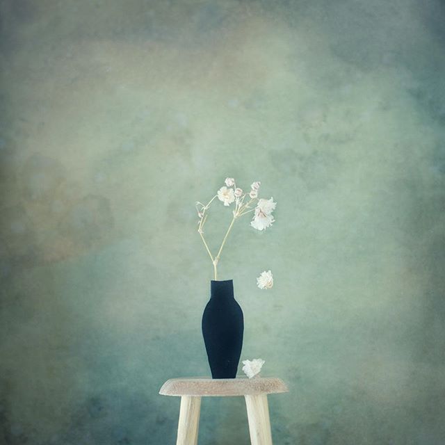 A minimalist still life featuring a black vase with dried flowers on a wooden stool against a muted green backdrop.