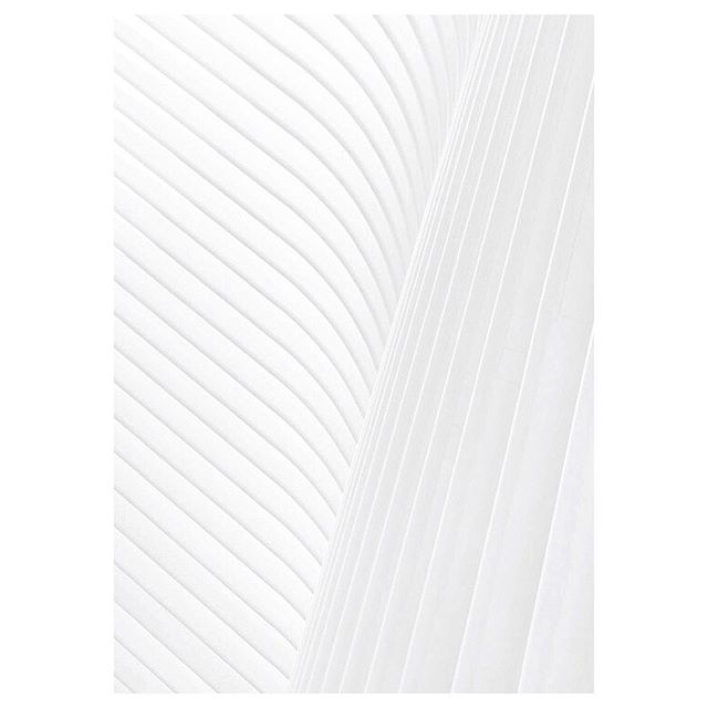 Abstract view of a modern white building featuring curved lines and a minimalist design.