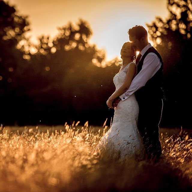A bride and groom embrace in a golden field at sunset, radiating warmth and love on their wedding day.