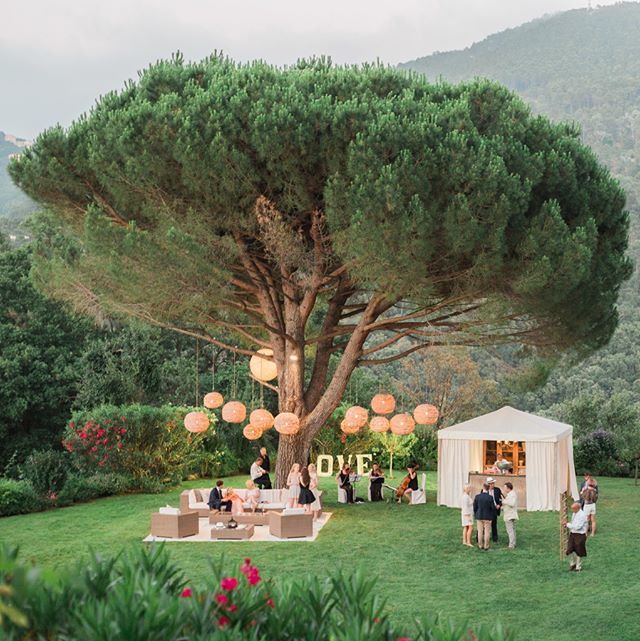 A charming outdoor wedding reception with a large tree, lounge area, musicians, and guests enjoying the event.