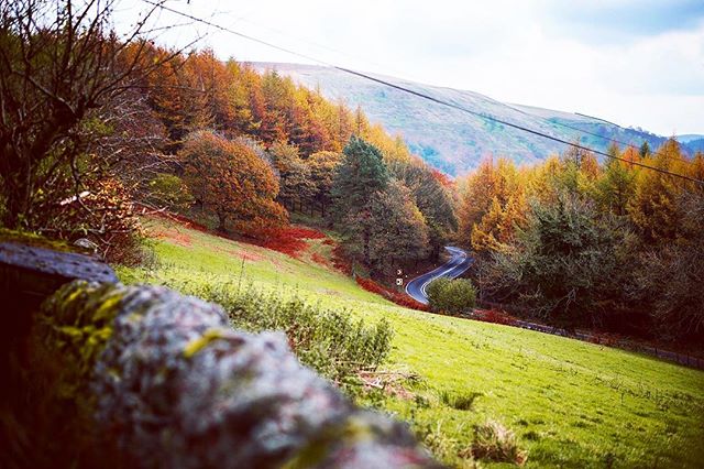 A winding road cutting through an autumn landscape with vibrant trees on a grassy hillside.