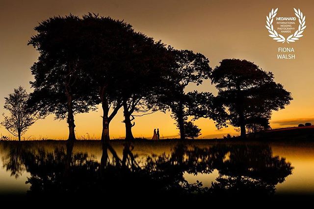 A romantic couple silhouetted against a golden sunset reflected in a calm lake, framed by trees. Wedding photography concept.