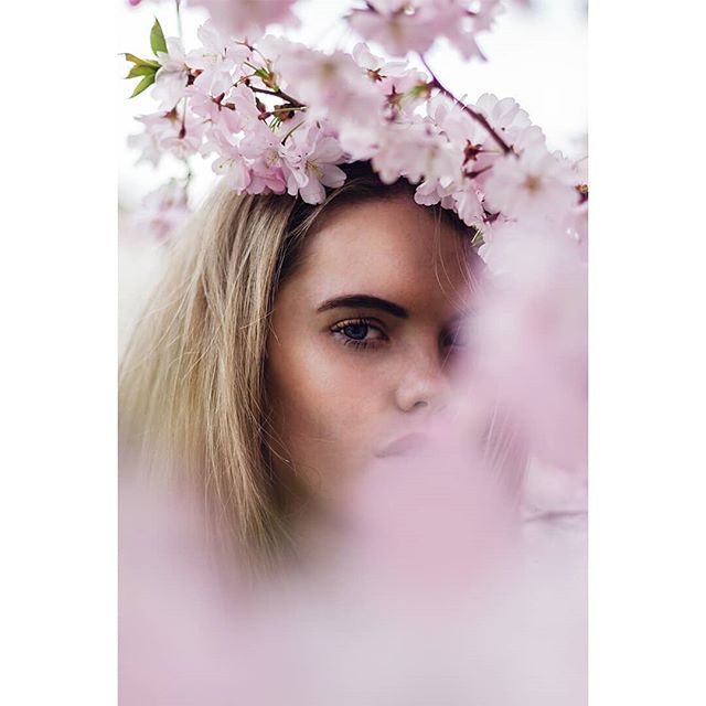 A blonde woman surrounded by soft pink blossoms creates a dreamy portrait.