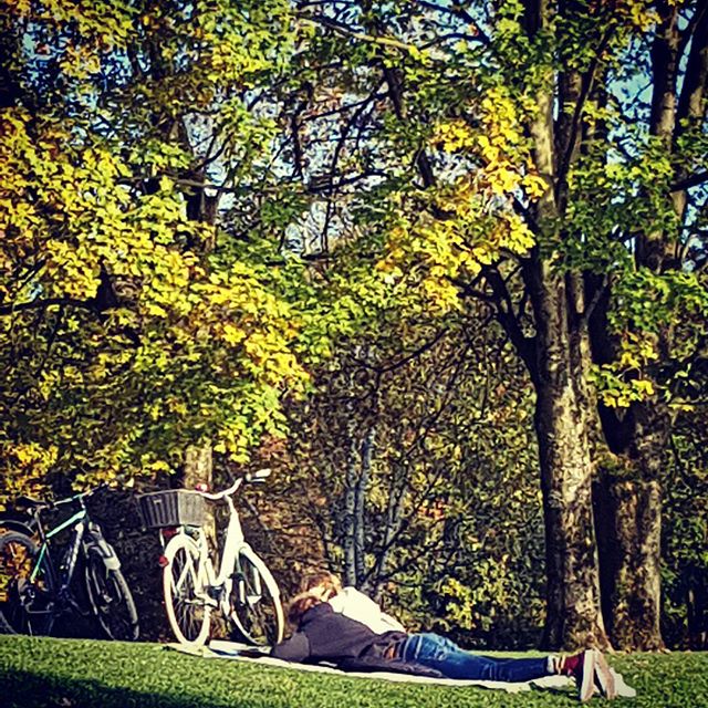 A couple relaxing in a park with their bicycles, enjoying a peaceful moment in nature.