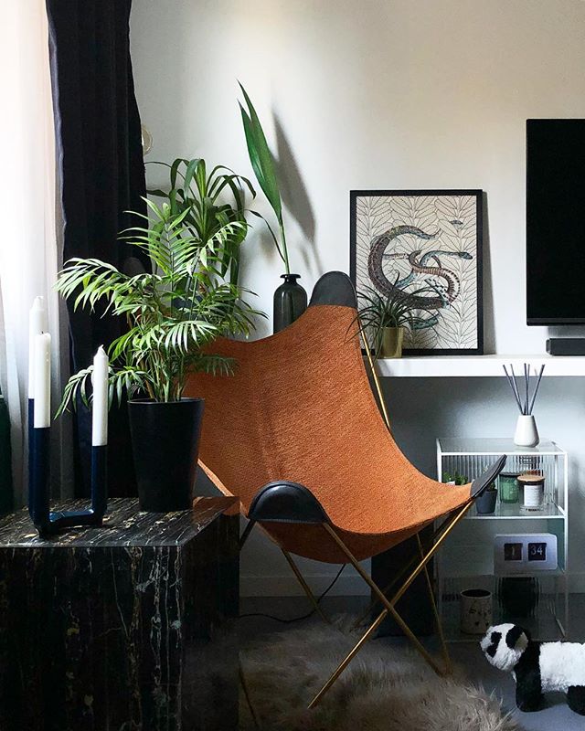 A cozy living room with a butterfly chair, plants, and decor, creating a relaxed and stylish atmosphere.