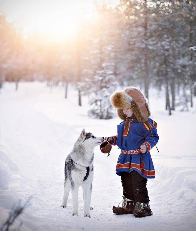 A child in winter clothing interacts with a husky in a snowy forest setting.