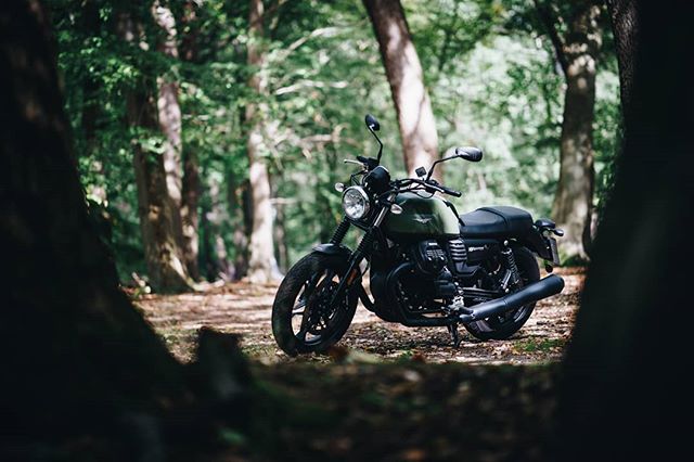 A green Moto Guzzi motorcycle sits in the woods, framed by trees, evoking a sense of classic adventure.