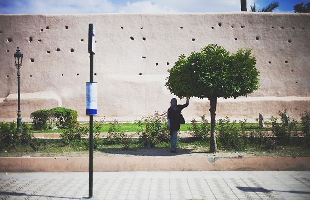 A woman standing next to a tree in front of a wall on a city street on a sunny day.