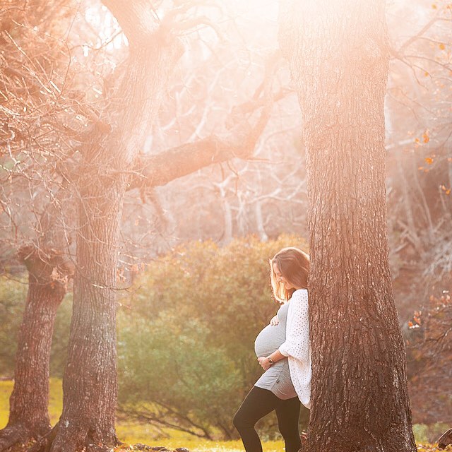A pregnant woman stands in a sunlit forest, embracing a tree with a tender and loving gesture.