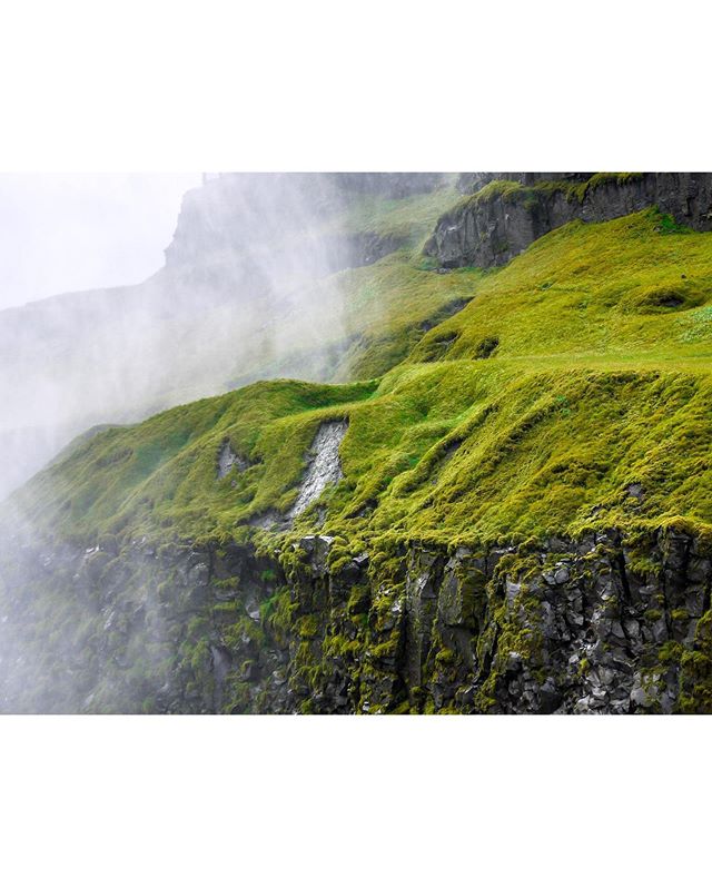 A scenic view of moss-covered cliffs in Iceland, with fog adding a touch of mystery to the landscape.
